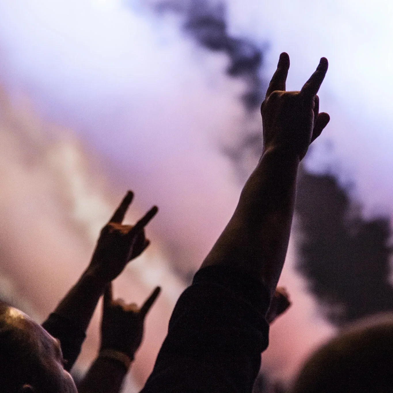 handsup.webp