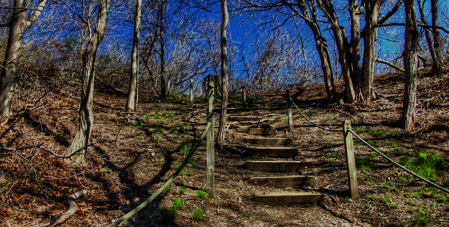 path.jpg