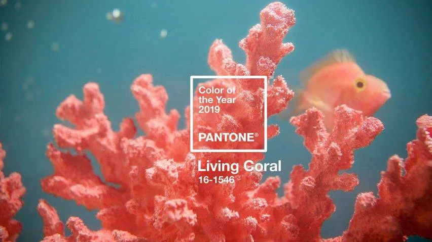 pantone-colour-of-year-2019-living-coral.jpg