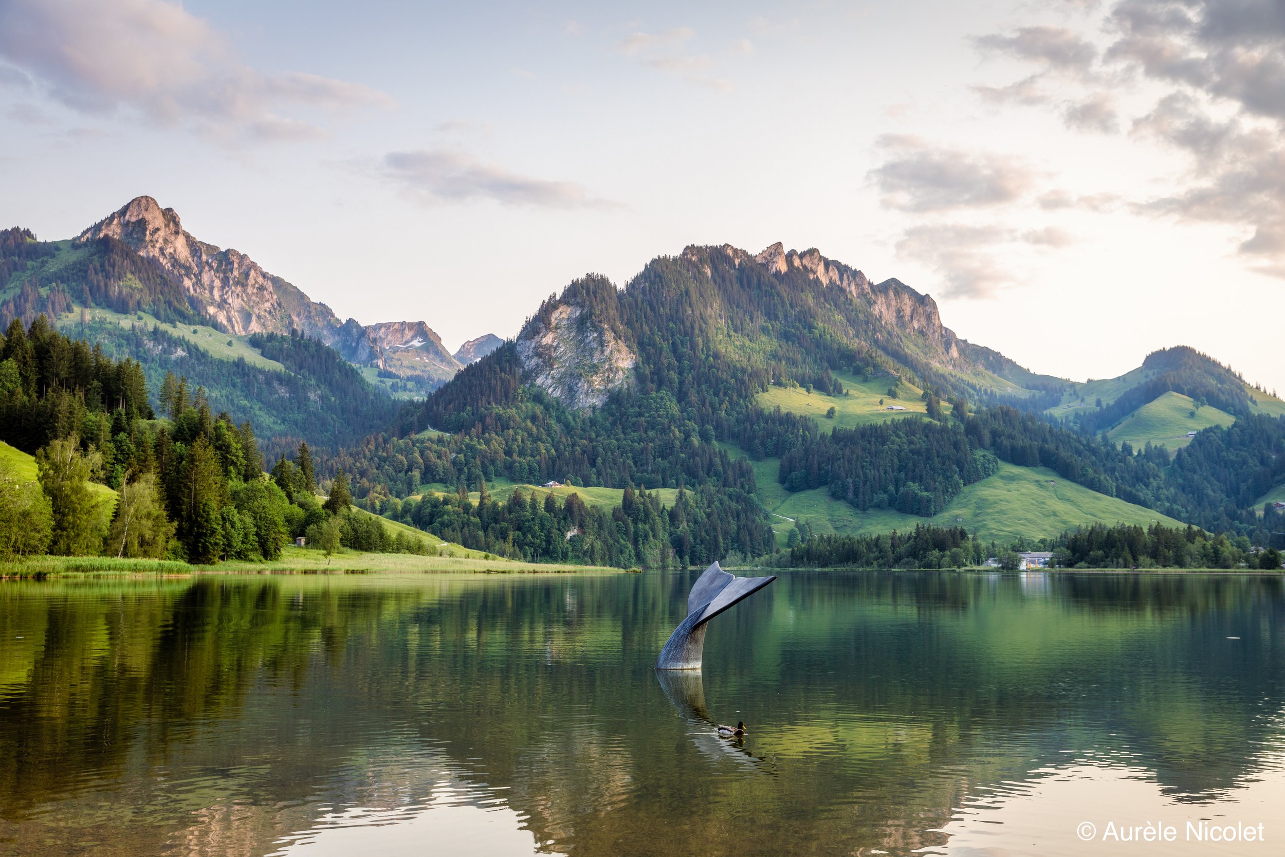 Schwarzsee _ Ref.SC_16.06.2023_045.jpg