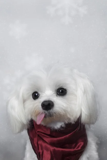 DSC_0010.jpg