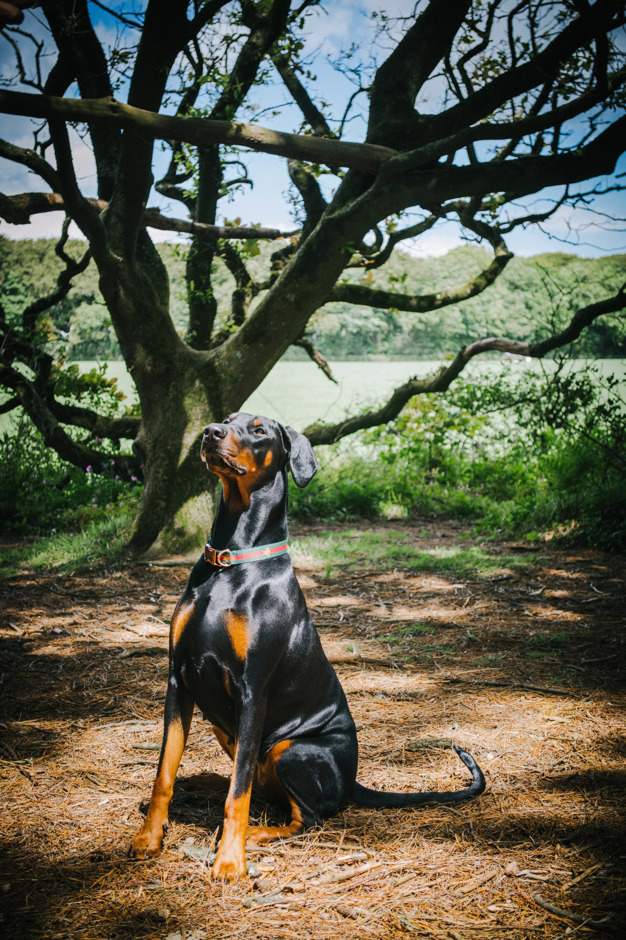 DSC_0303.jpg