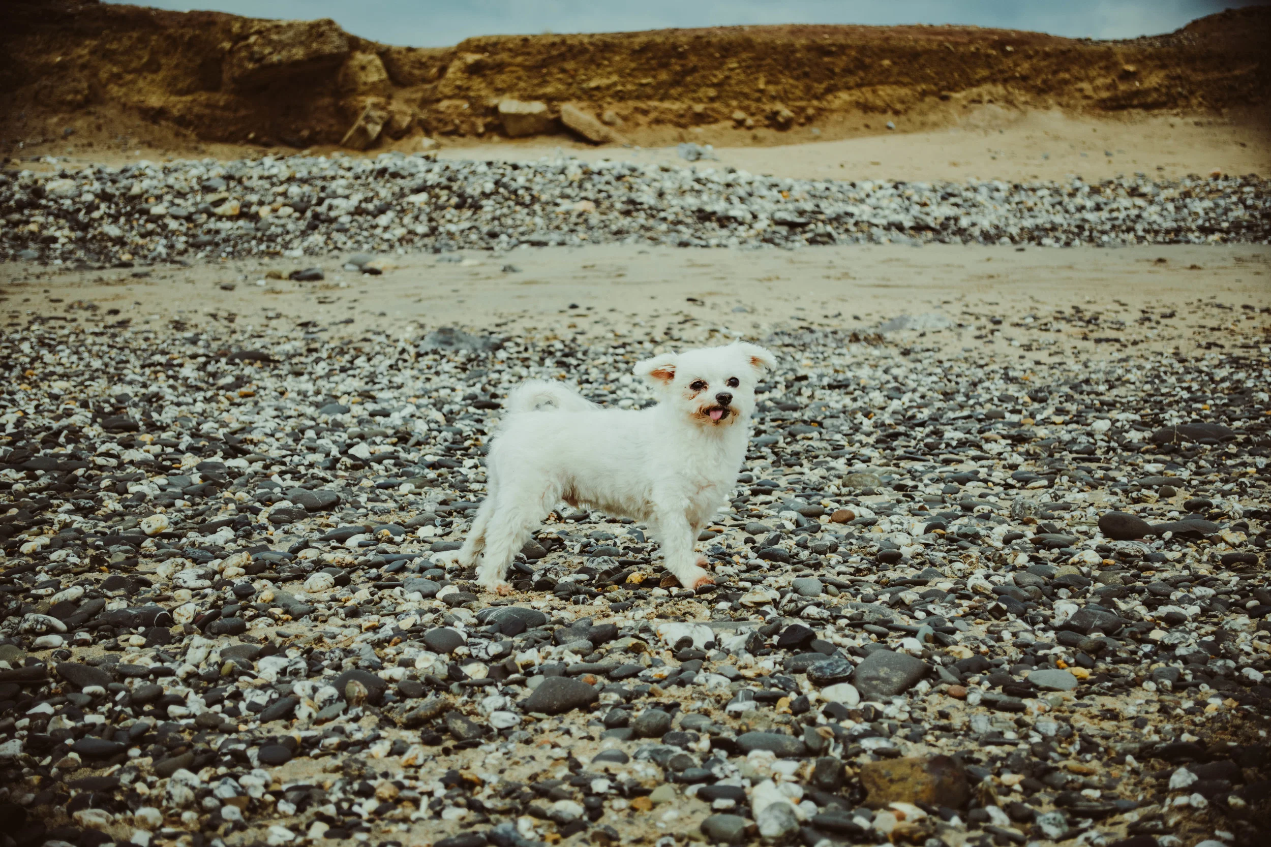 DSC_9991.jpg