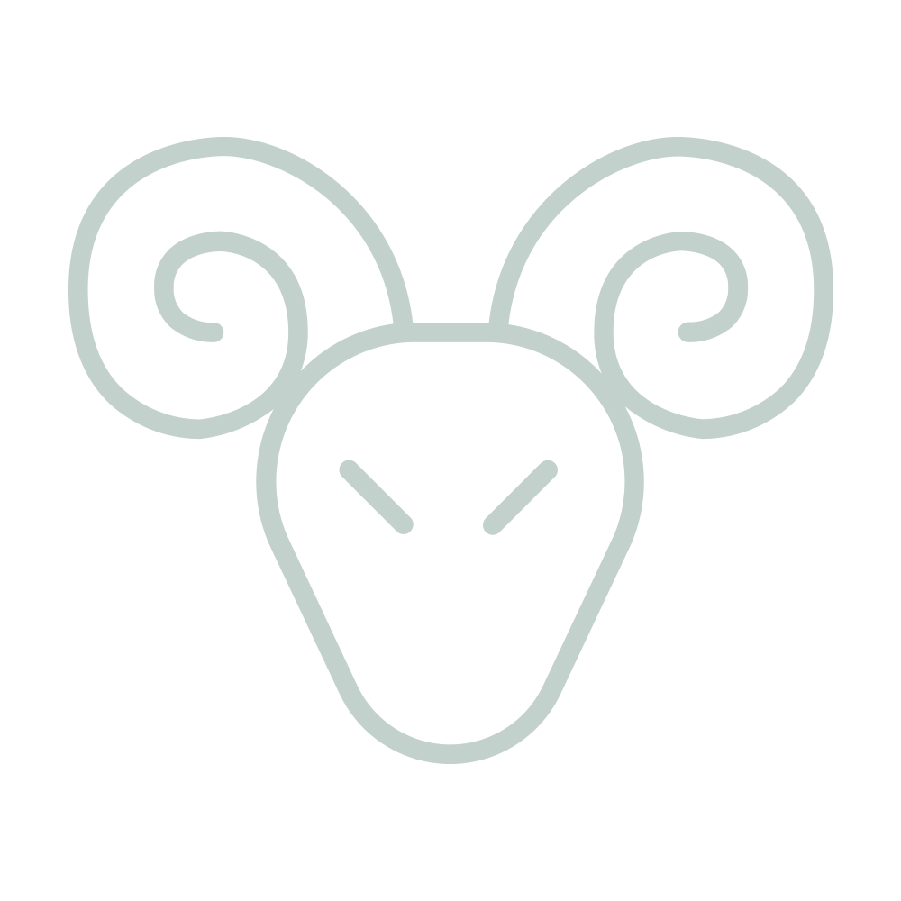 ARIES - New shiny things will be entering your life but don’t forget to follow through on your existing projects.