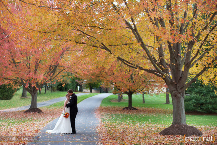 Aren’t these fall colors amazing?! Photo by MattNNat.