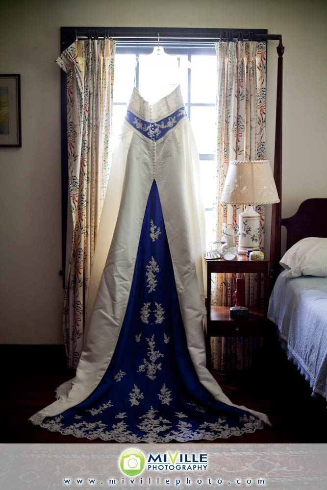 The gorgeous dress! Loved the blue accents.