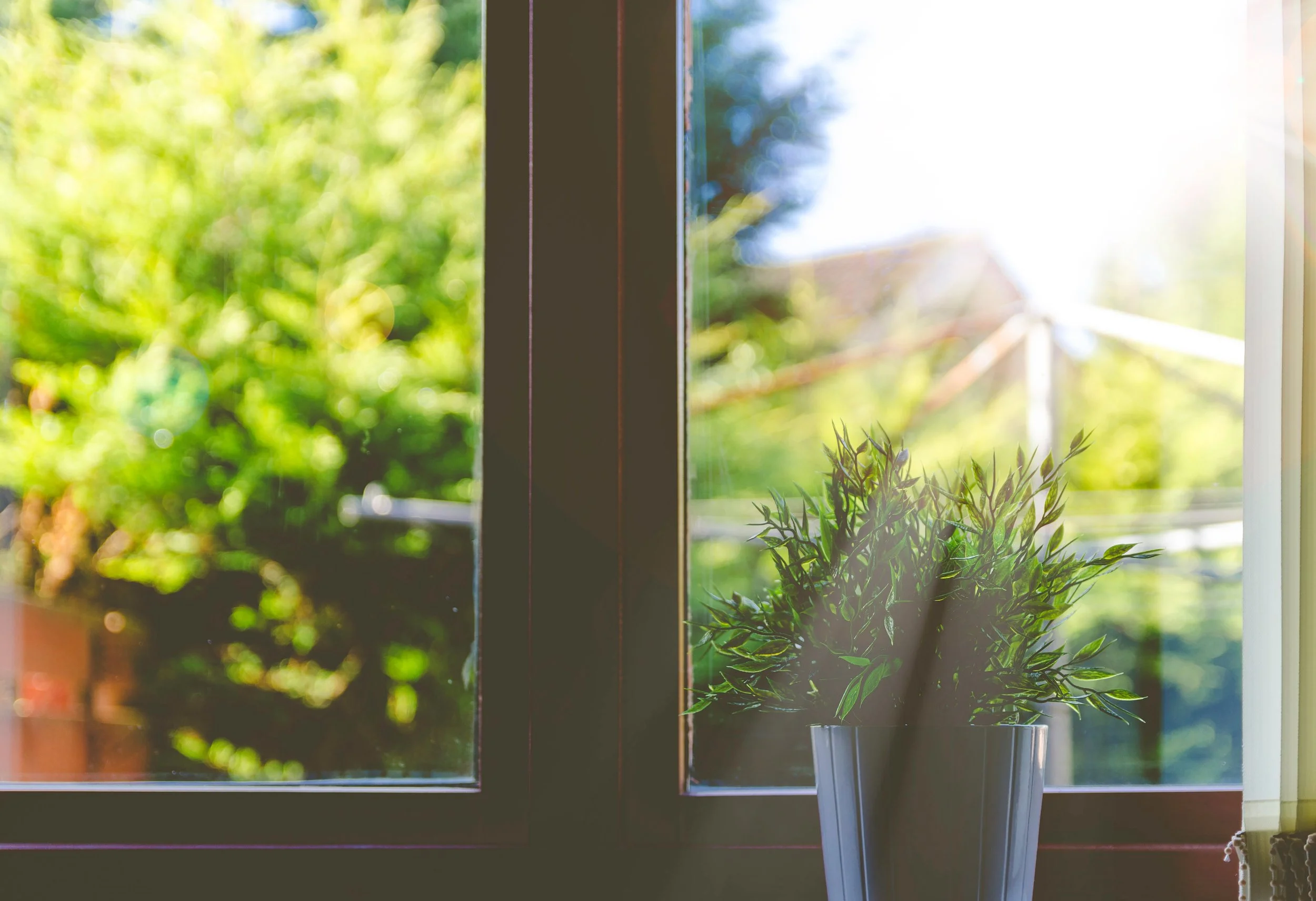 window_ledge with_small_plant_and_sun_shinging_through_photography_by_olu-eletu-101178-unsplash.jpg