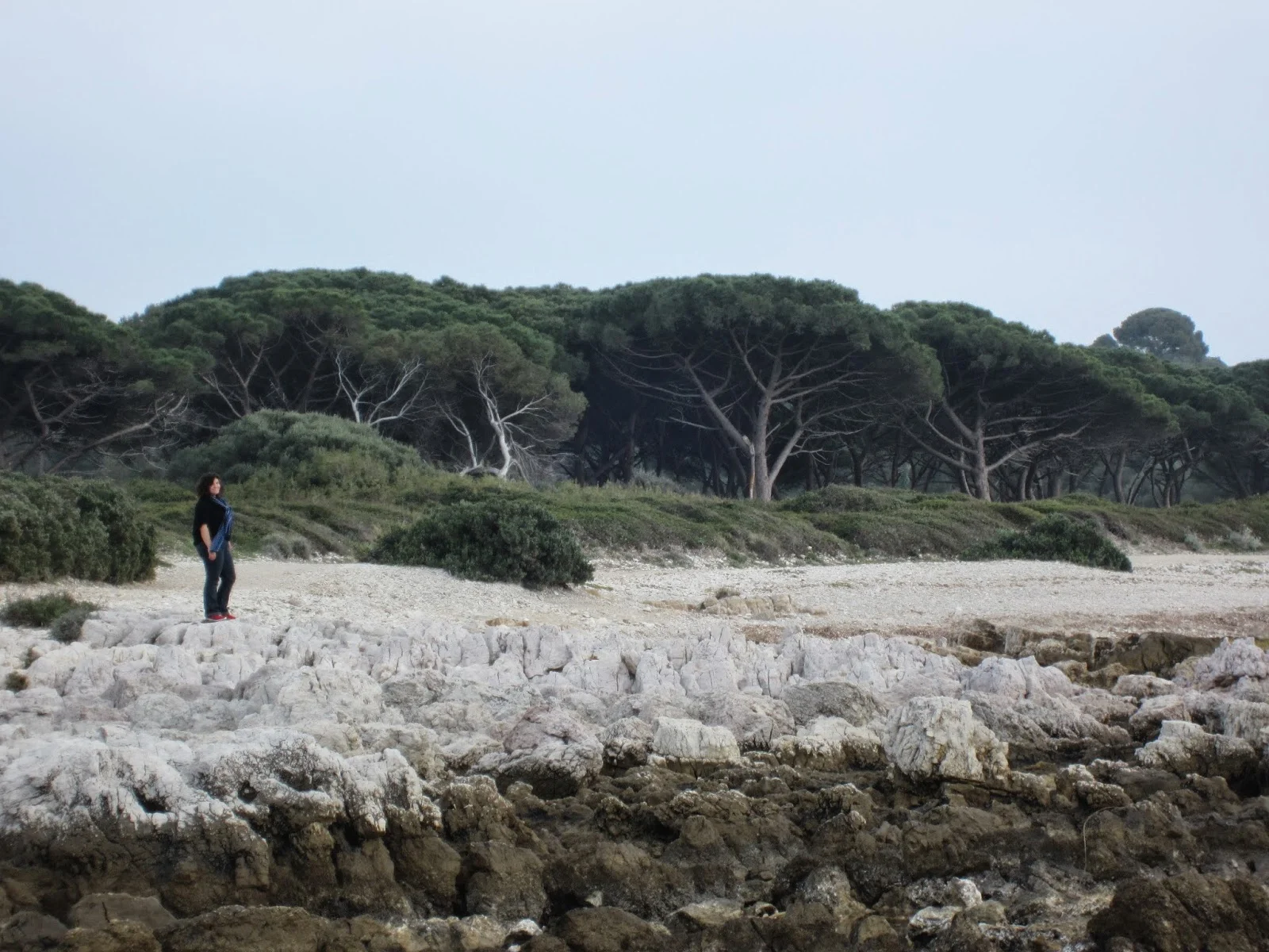 Nice and One Year Anniversary!