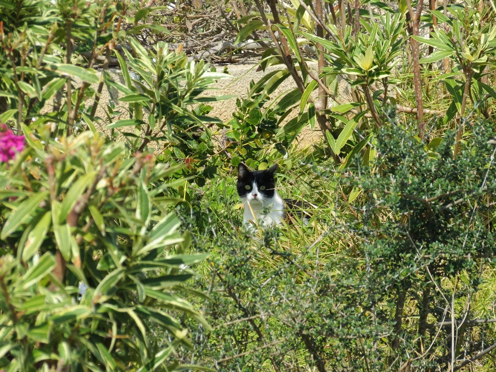 Just another day in Tunis