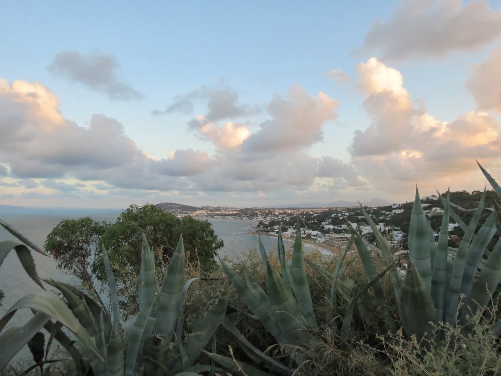 Pictures of Life in Tunis