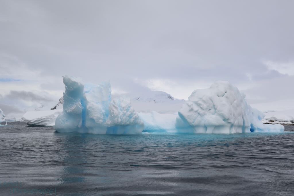 Views from Zodiac cruising at Portal Point