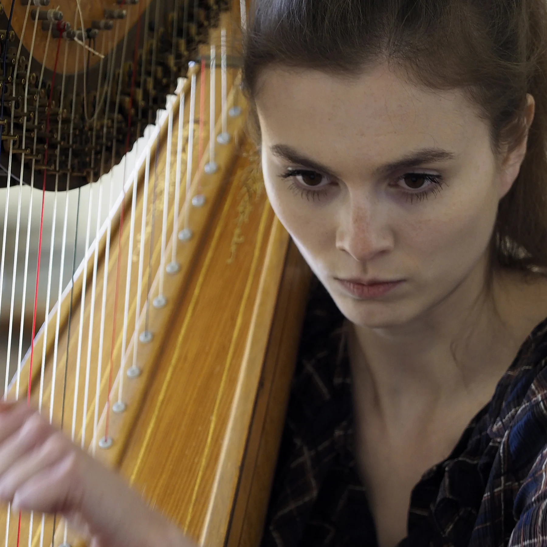 imogen ridge - harp.jpg