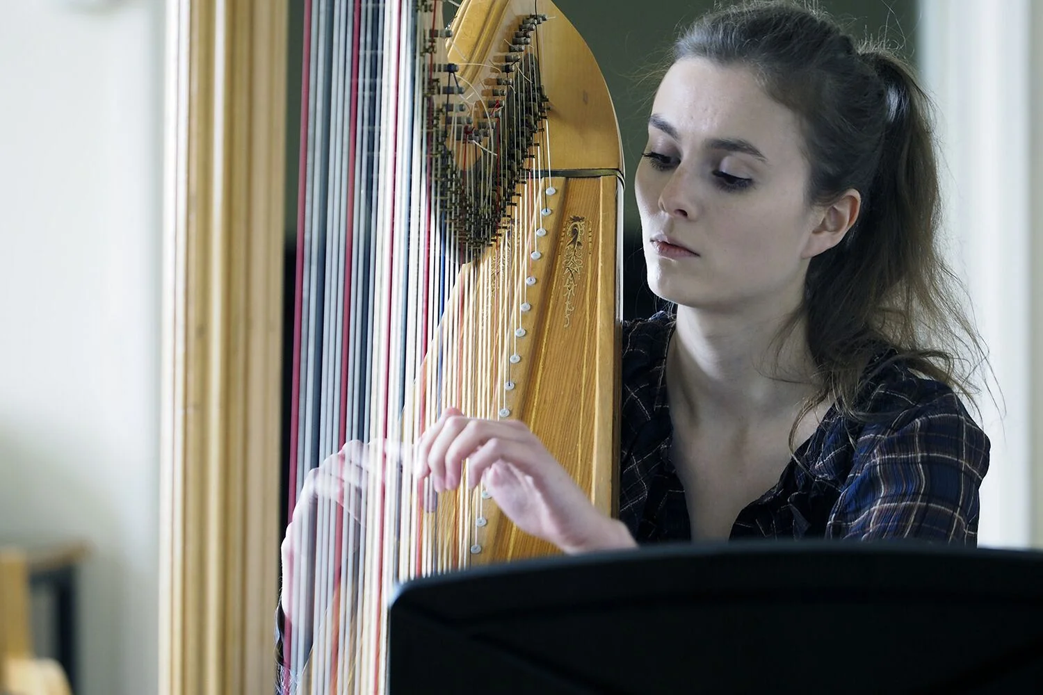 Imogen Ridge - Harp