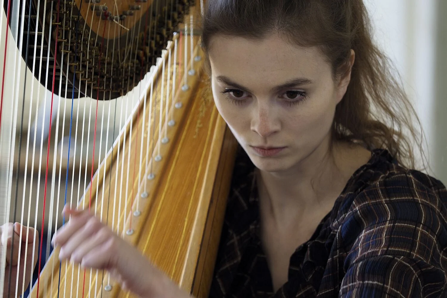 Imogen Ridge - Harp