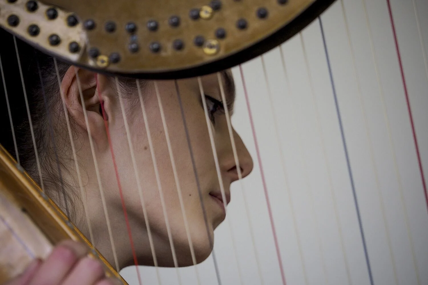 Imogen Ridge - Harp
