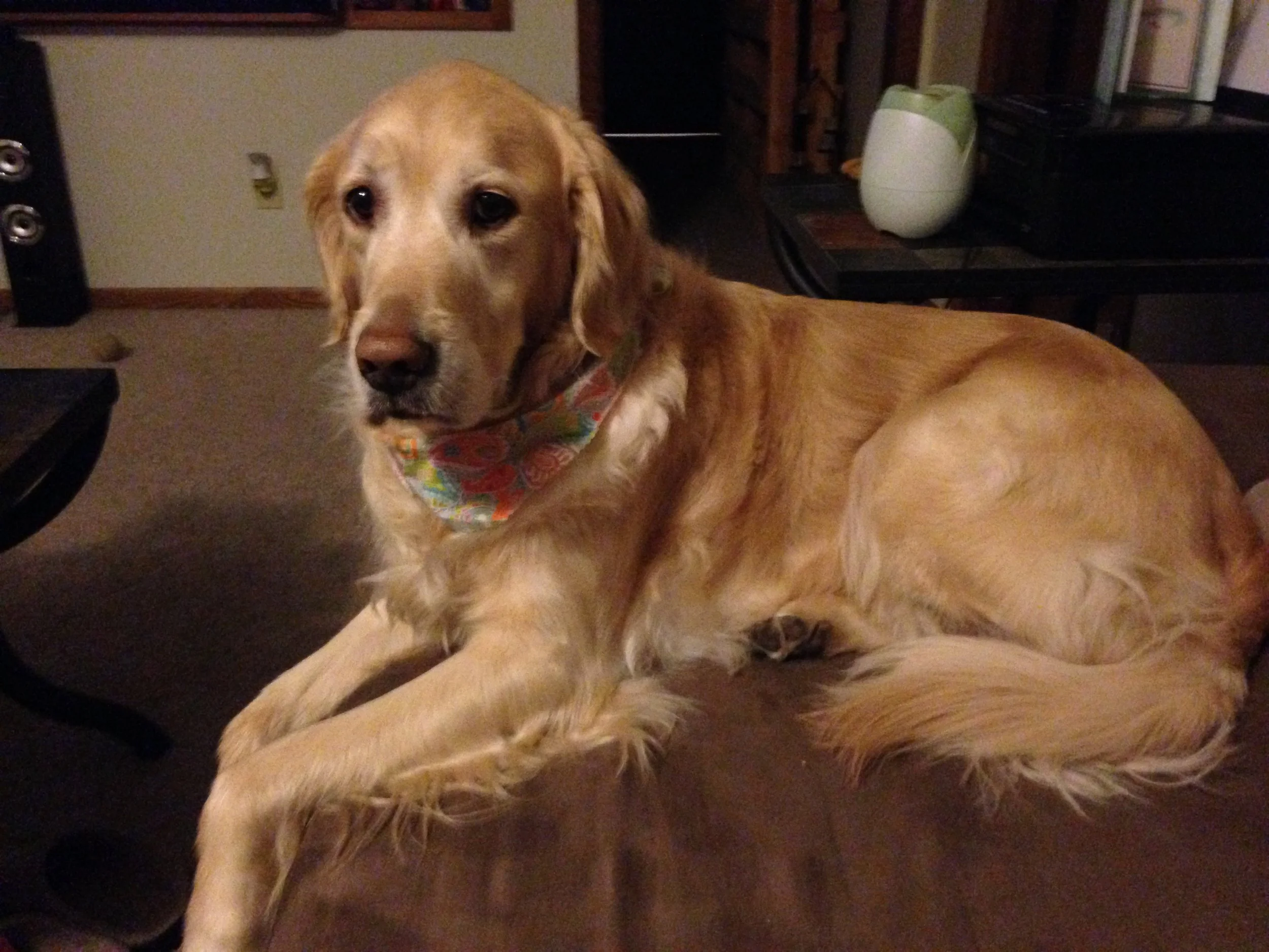 Bring Awareness to Someone You Miss