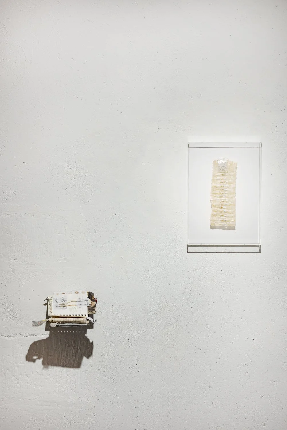 Esp-Mur_HERBIER-MEMOIRE_250523-040_ok_V1.jpg