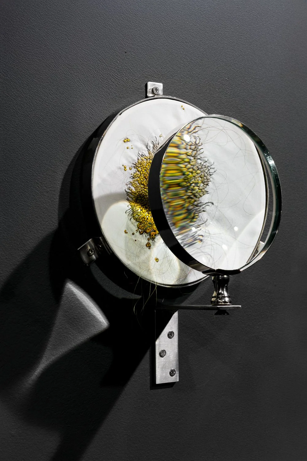 Esp-Mur_HERBIER-MEMOIRE_250523-166_ok.jpg