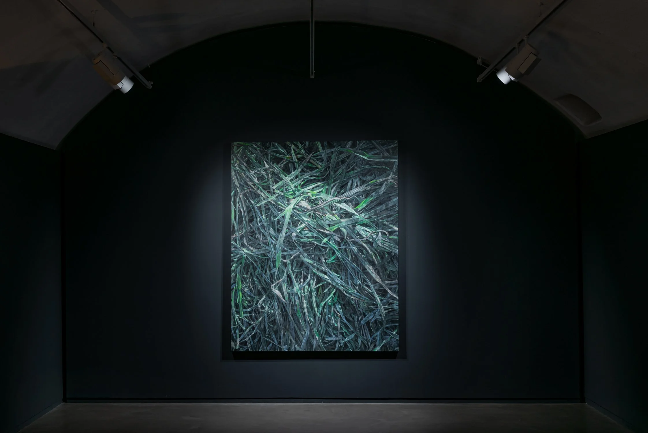 Esp-Mur_HERBIER-MEMOIRE_250523-182_ok.jpg