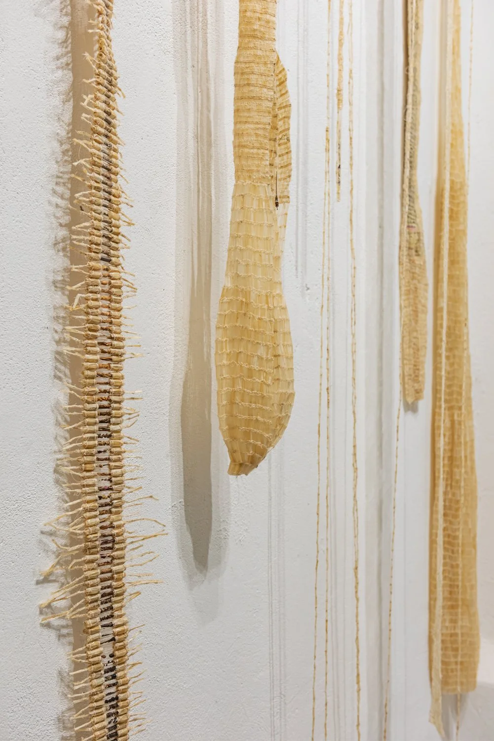 Esp-Mur_HERBIER-MEMOIRE_250523-356_ok.jpg