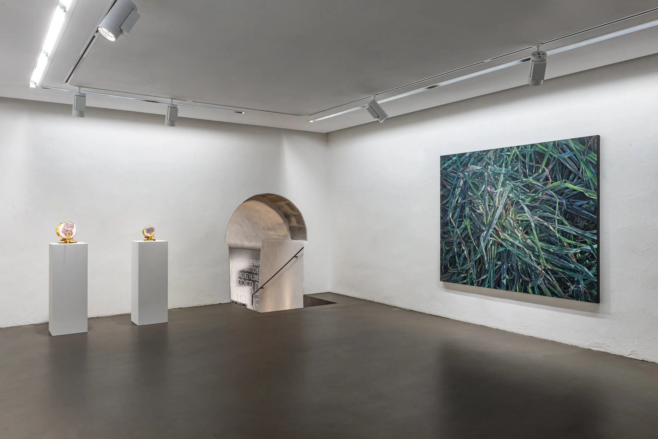 Esp-Mur_HERBIER-MEMOIRE_250523-325_ok.jpg