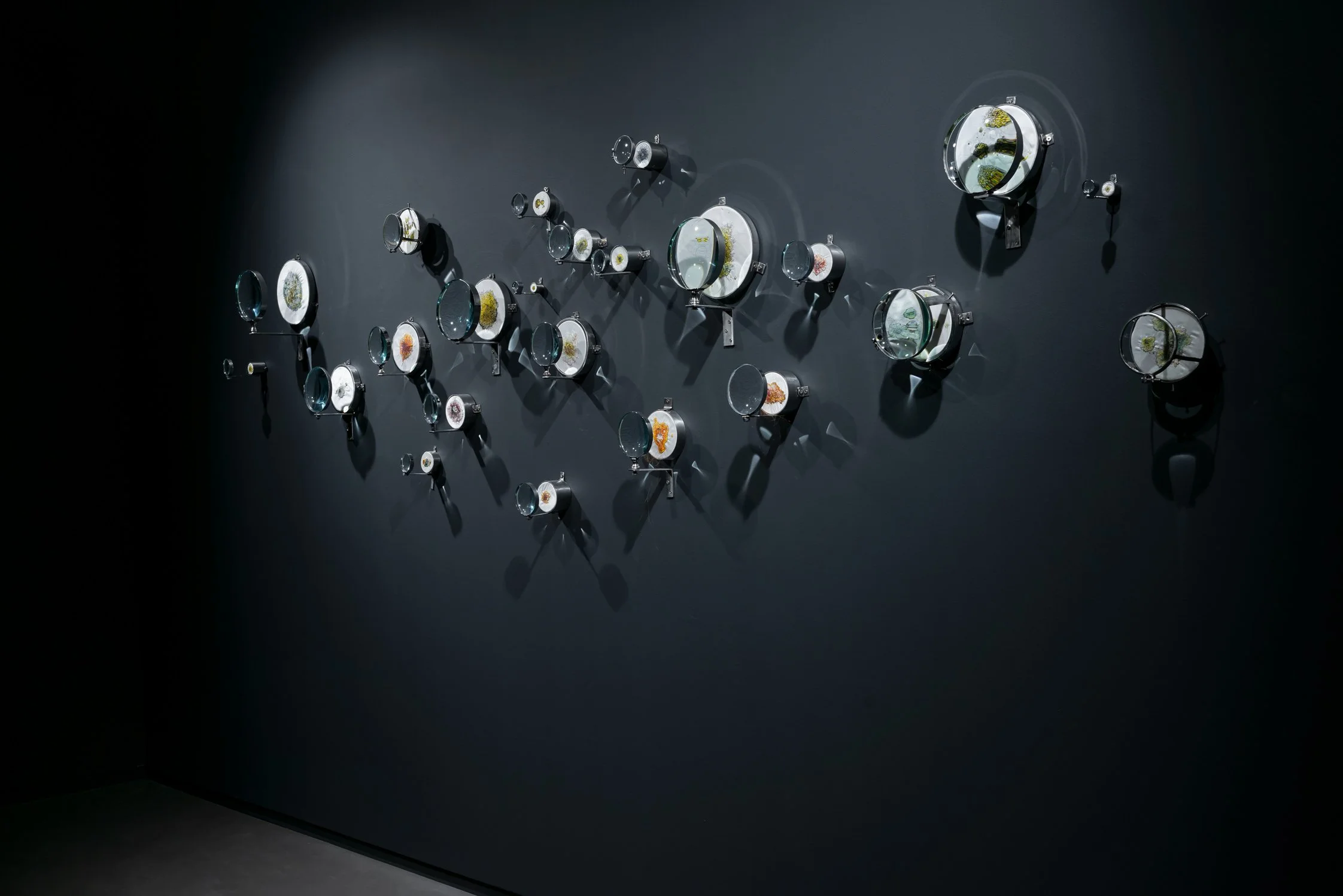 Esp-Mur_HERBIER-MEMOIRE_250523-478_ok.jpg