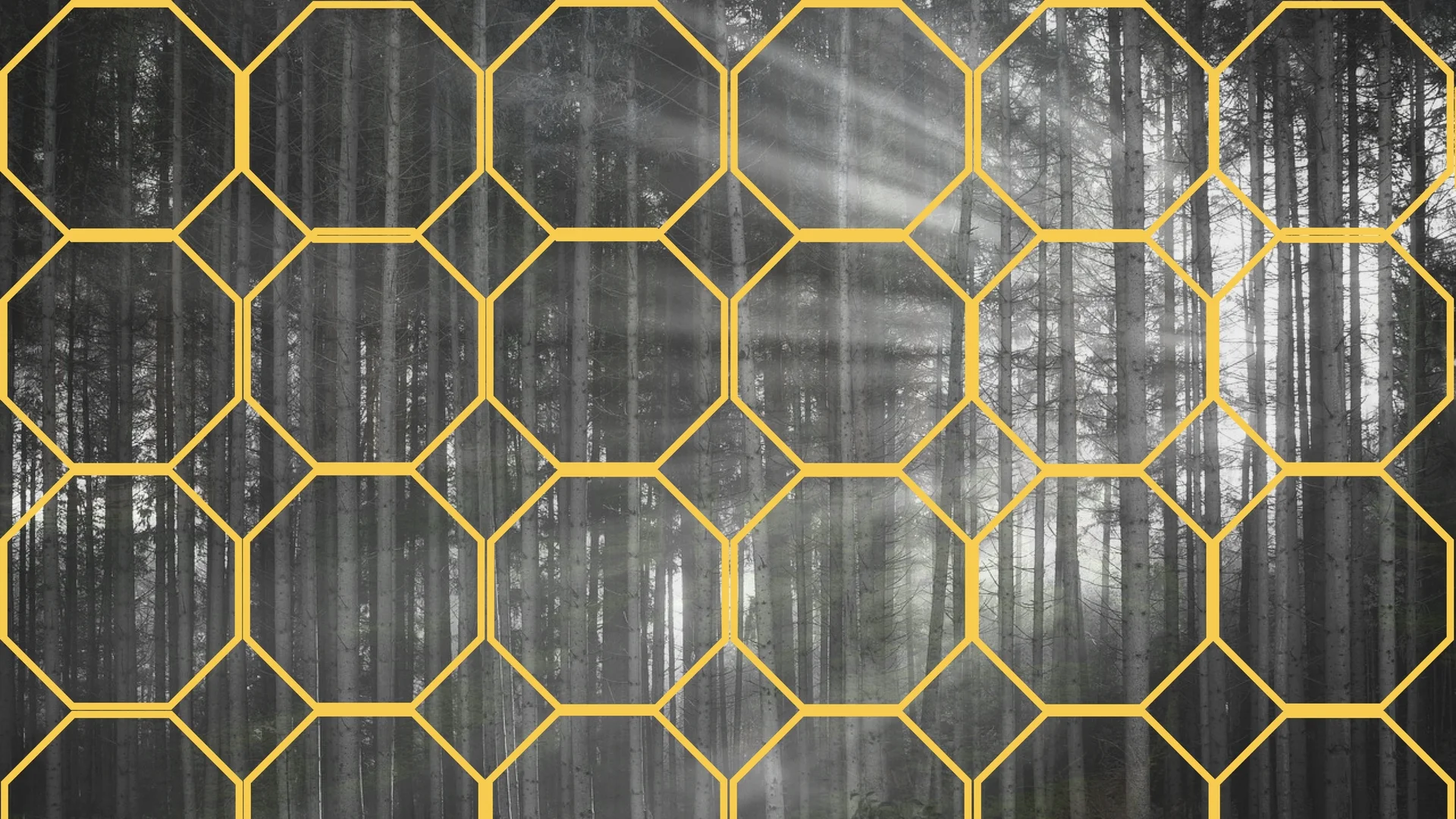 difficultroadsoftenlead tobeautifuldestinations (4).jpg