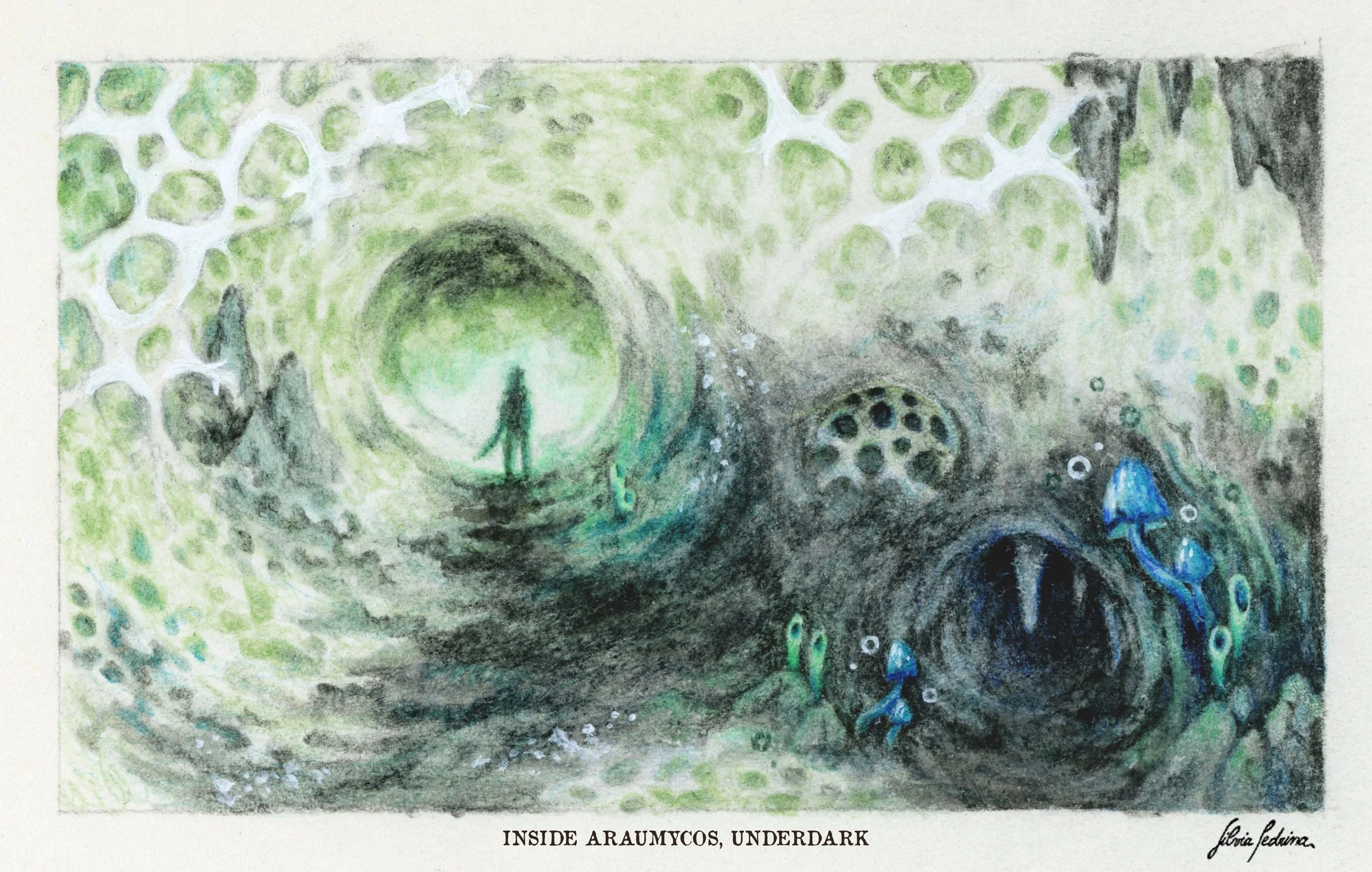 "Inside Araumycos", pencil, 2026.