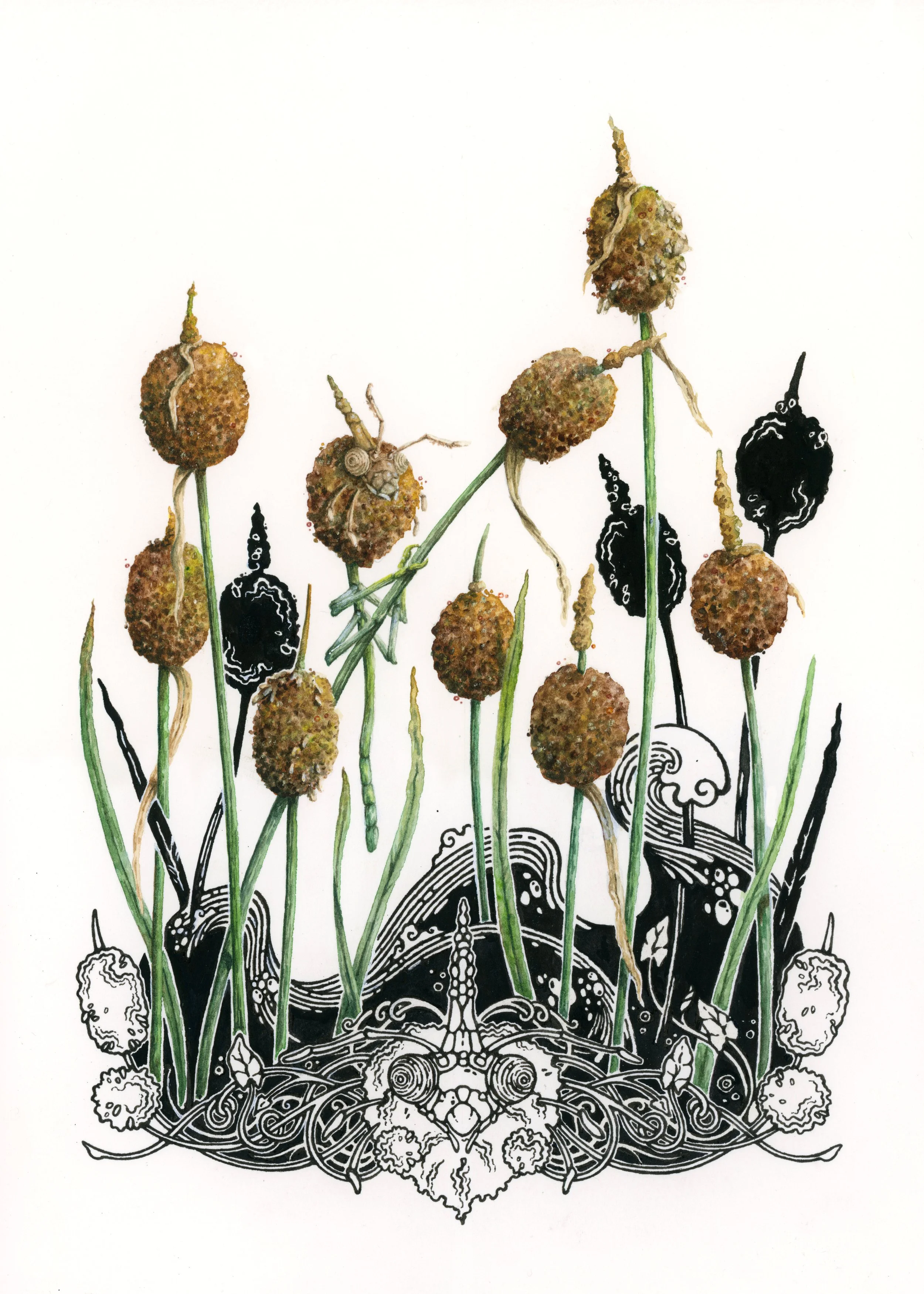 "Mimetismo", watercolor+ink, 2025.