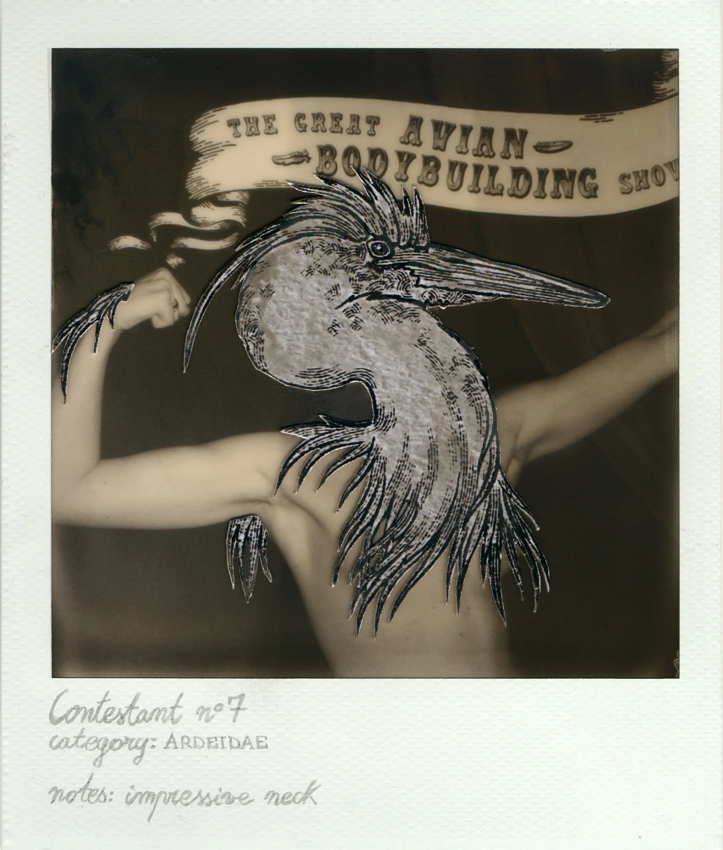 Sileō (Silvia Pedrina e Leonardo Brentan)_The Great Avian Bodybuilding Sho