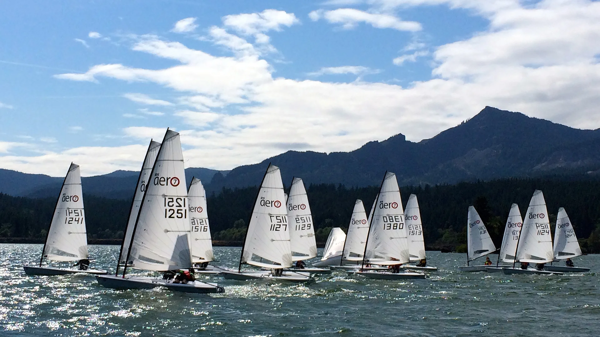 RS Aero Central Coast Sailing 8.jpg