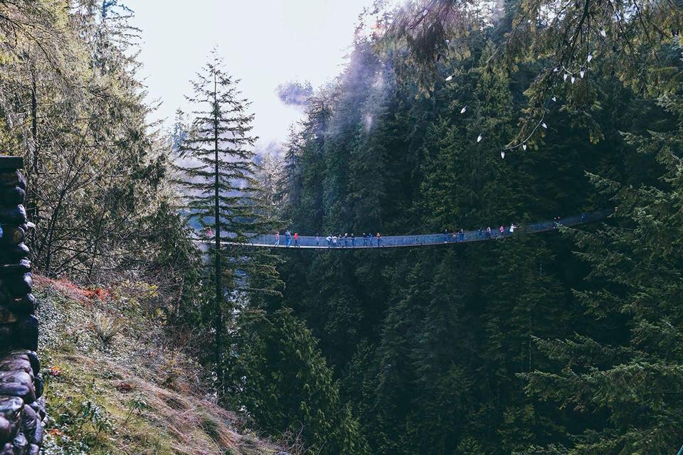 capilano 2.jpg