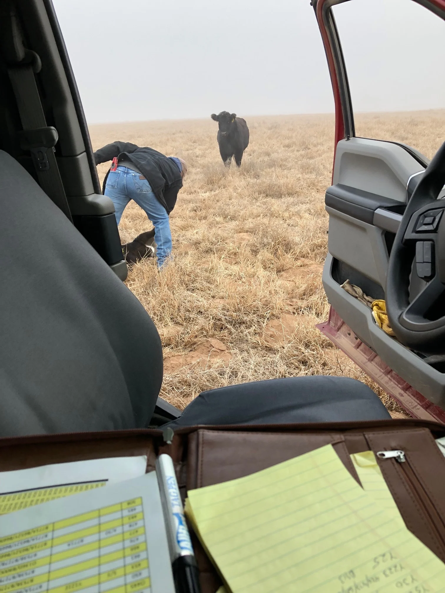 Beyond the Red Gates