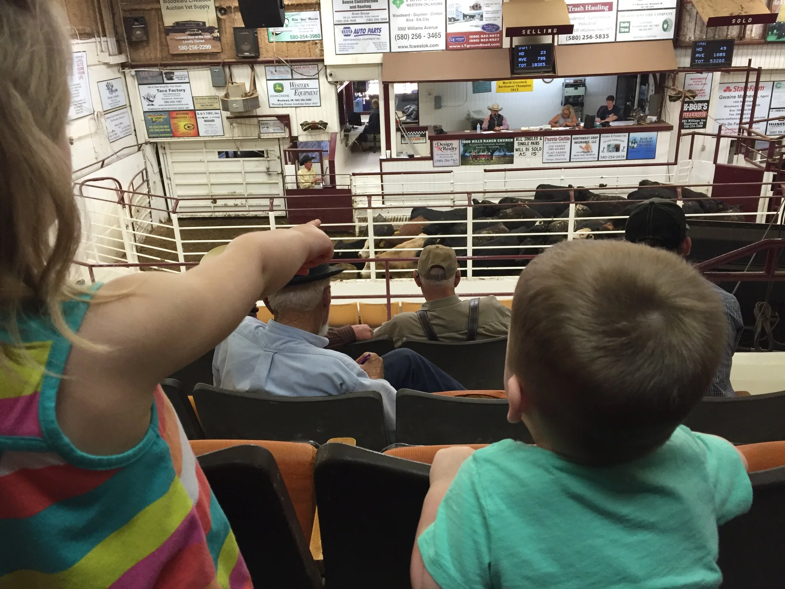 So Close Yet So Far Away Redgate Cattle Company