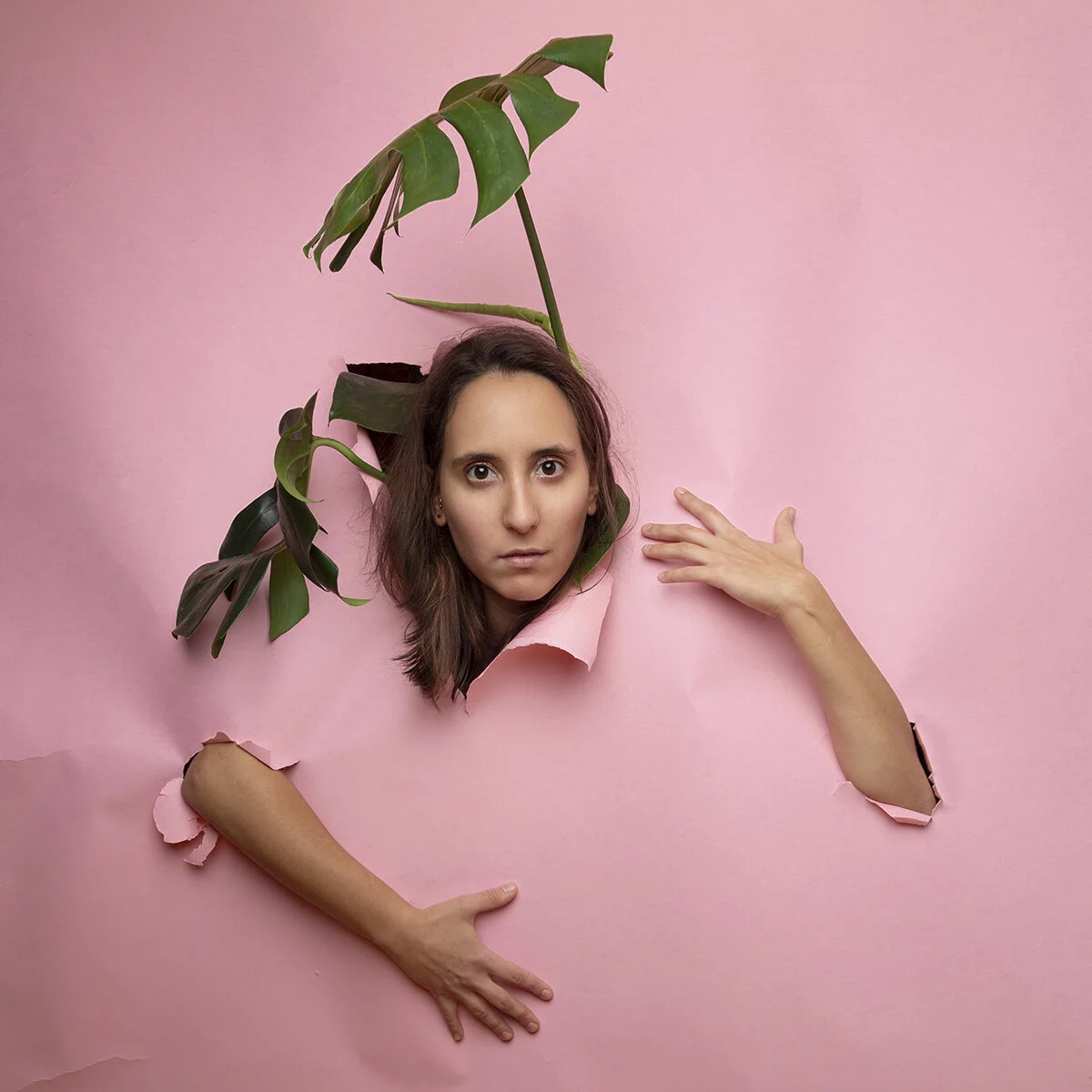 ANDREA PLANTE1200x1200.jpg