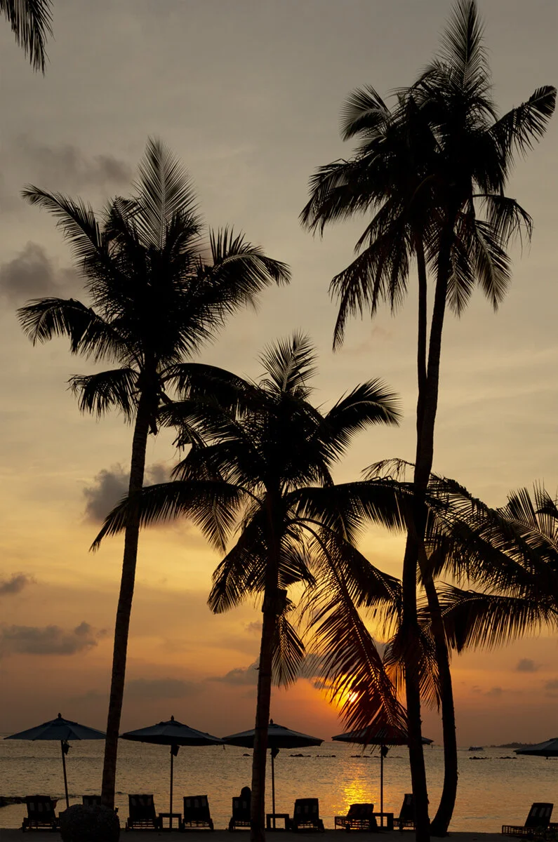 MALDIVES 2.jpg