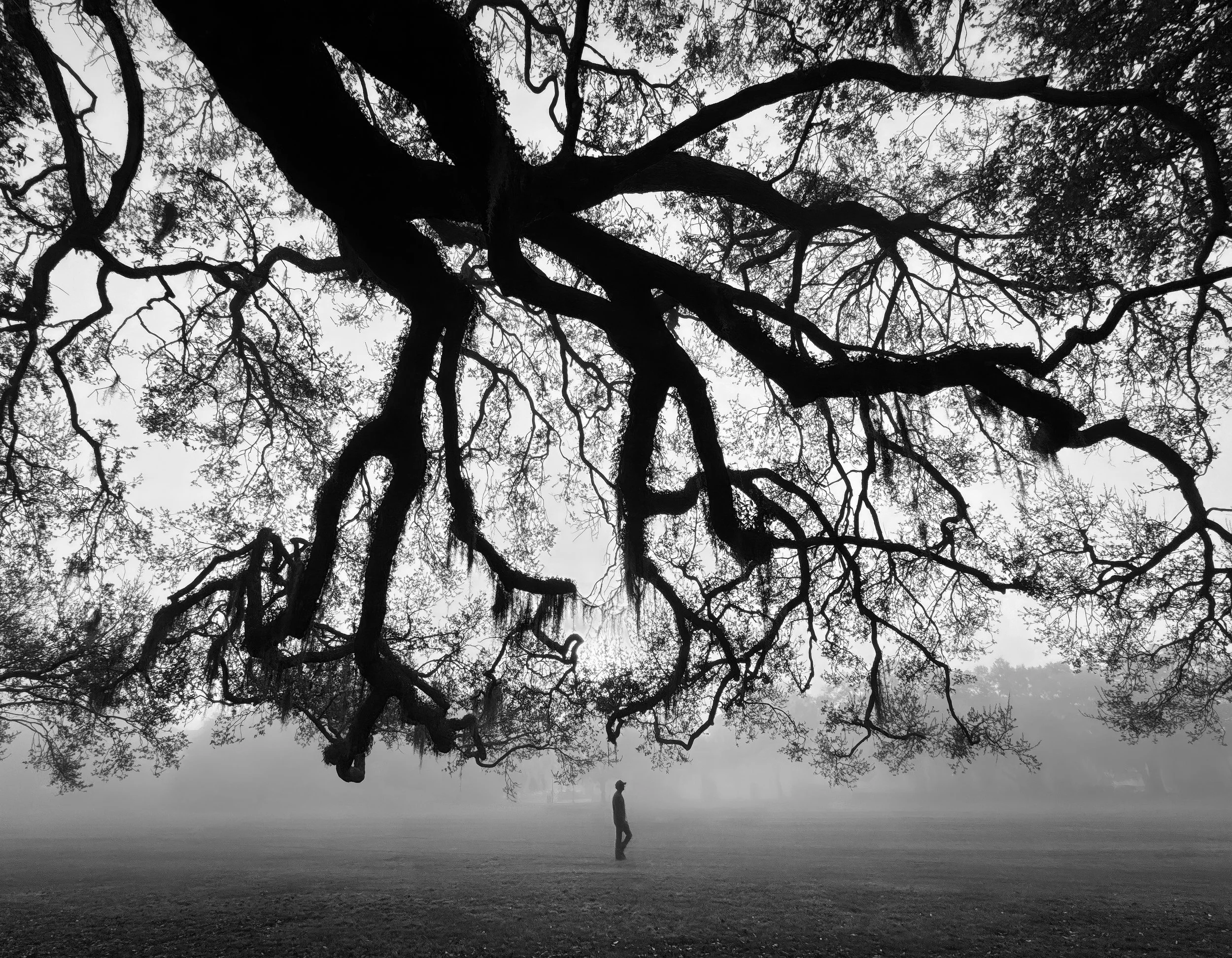 walking man 16x20.jpg