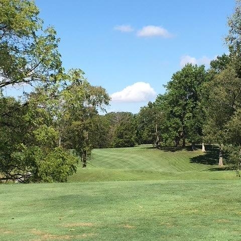 Meshingomesia_Golf-Outing_Form_3.30.18.jpg