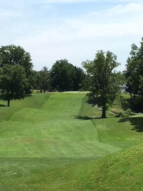 MESHINGOMESIA-GOLF-CLUB.jpg