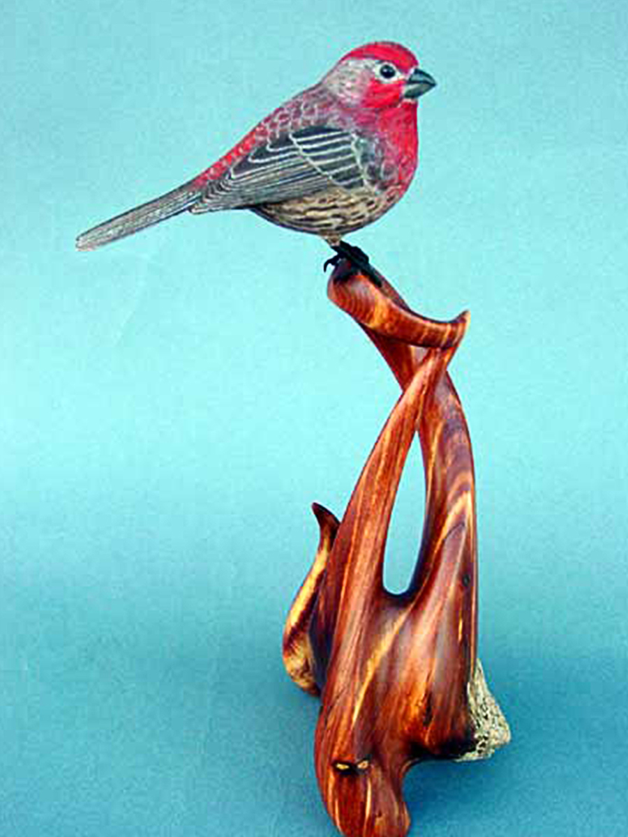 Bird2.jpg