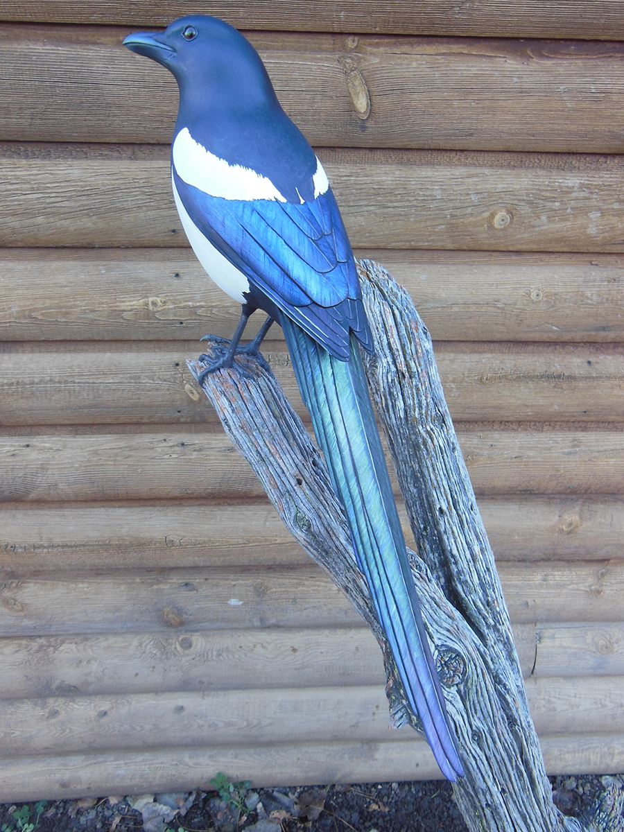 Bird1.jpg