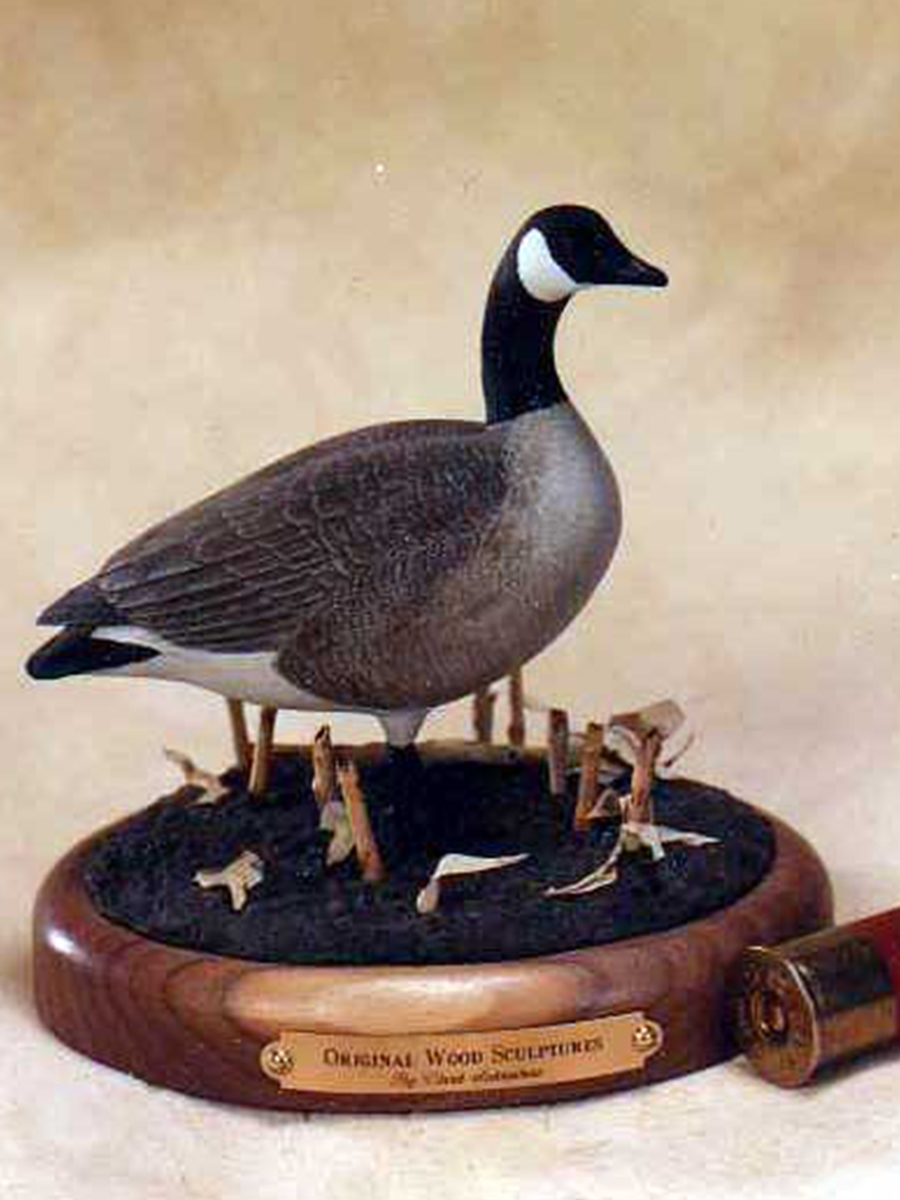 Bird4.jpg