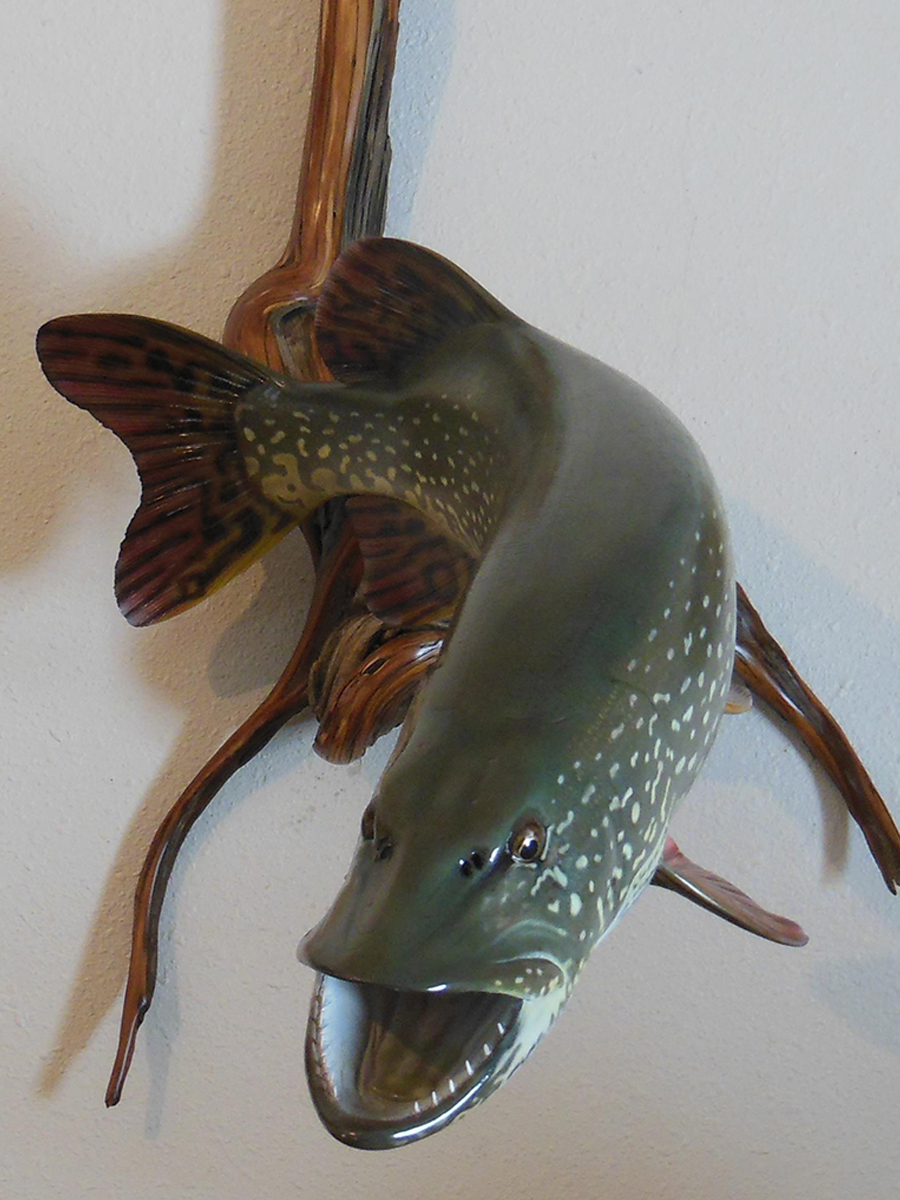 Fish3.jpg