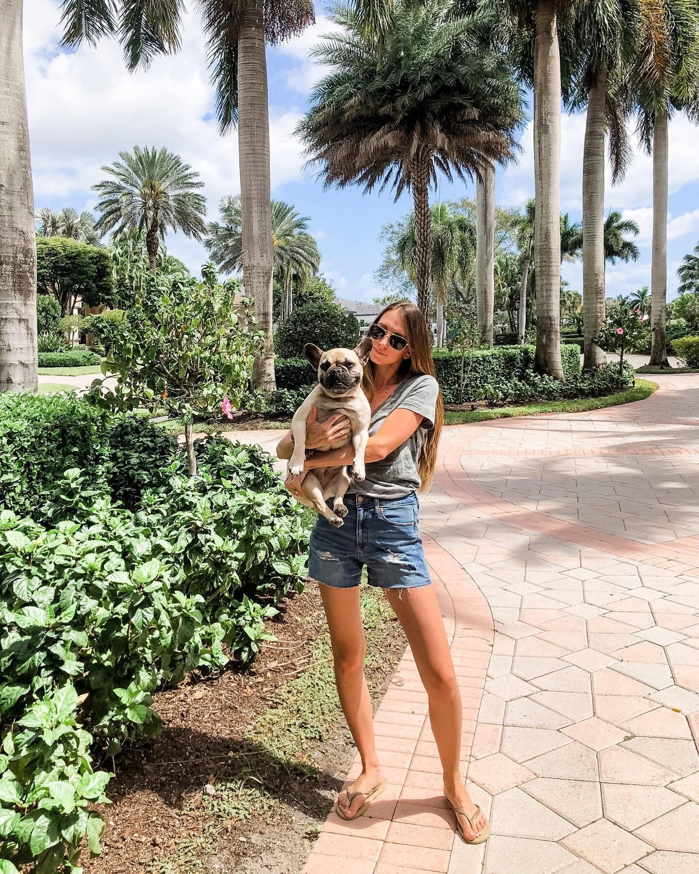 It&rsquo;s Havana&rsquo;s smile for me 🥰🐶🌴
I&rsquo;ve also been LIVING in these shorts they have the perfect amount of stretch and are under $20! This whole outfit is actually under $25 and on sale this week 🙌🏻

Shop it by following &ldquo;ahint