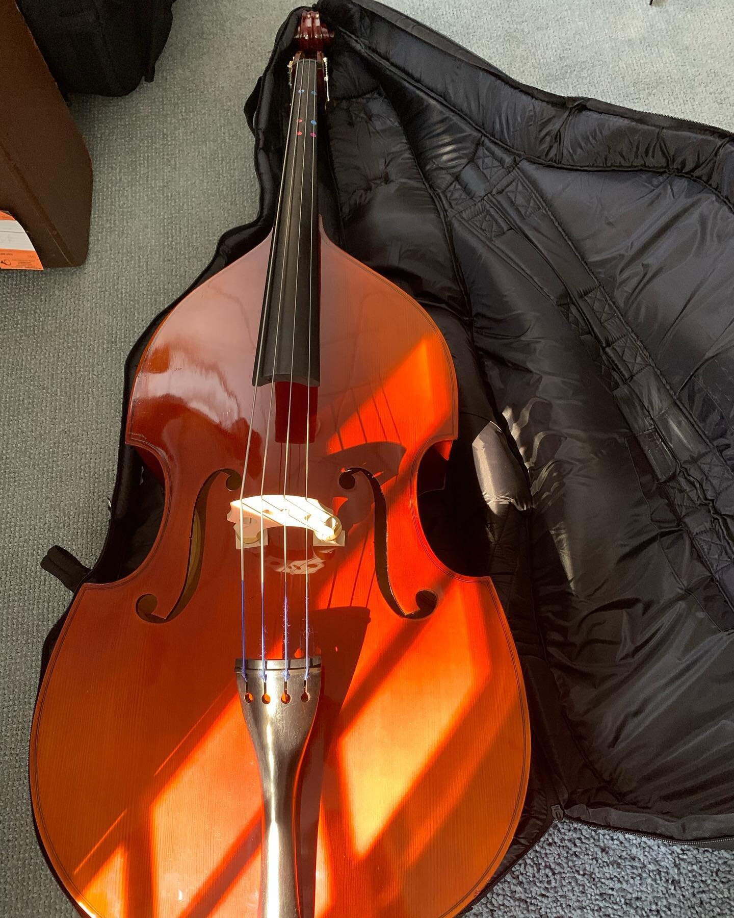 This upright bass is looking for a new home!
@doublebasses 
#doublebass
#violincello 
@instrumentalangels 
#musiceducation 
@astaboston