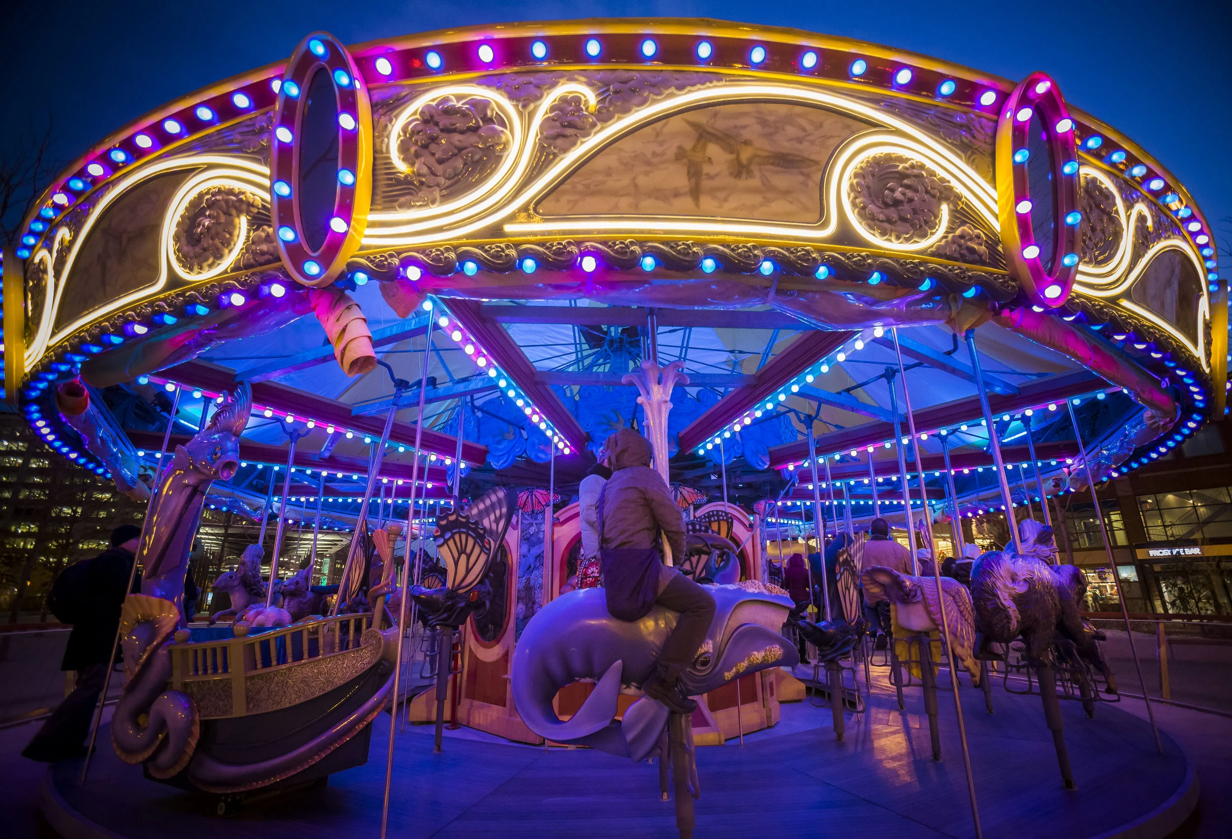 carousel 1.jpg