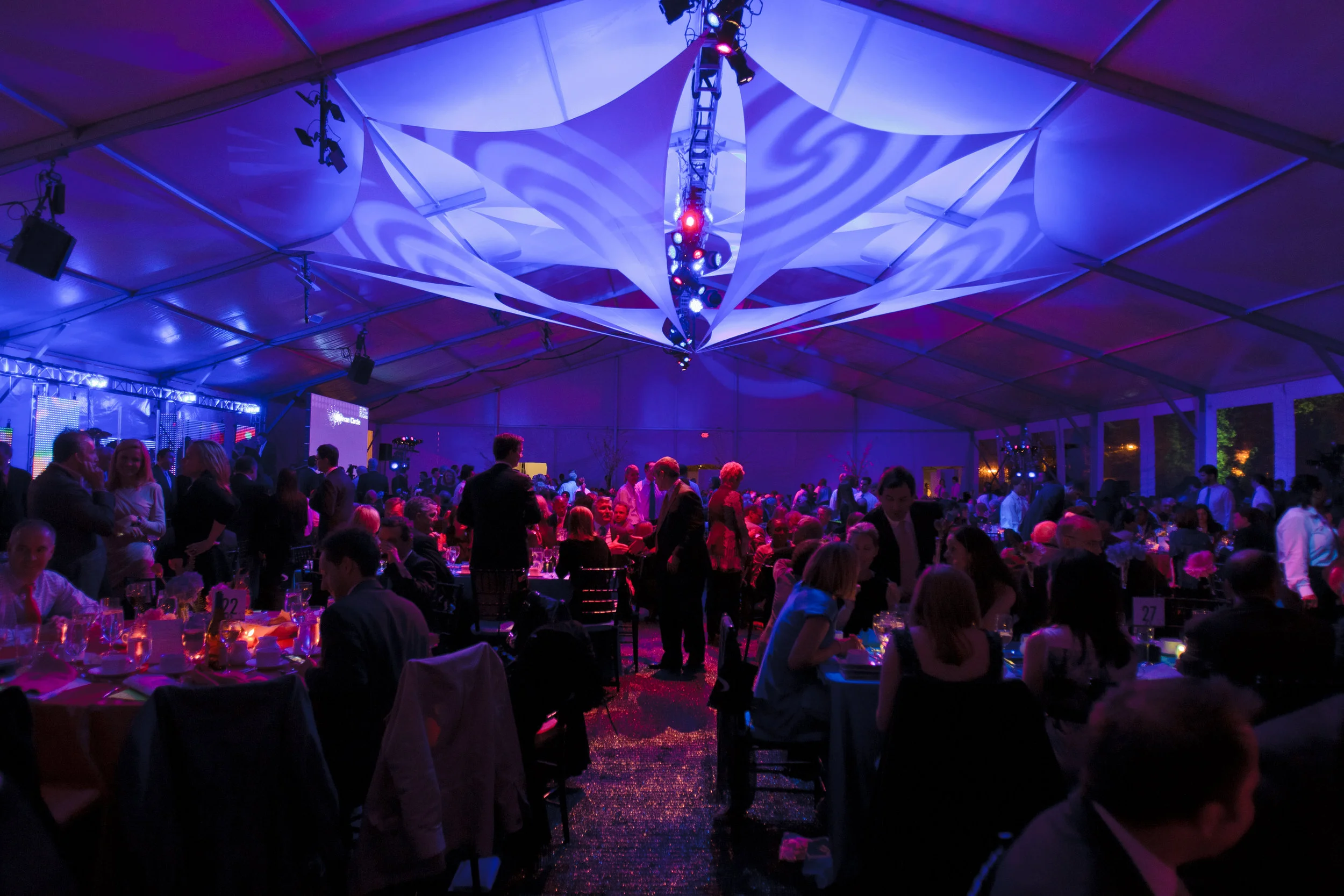 Stretchy Event Drape Projection.jpg