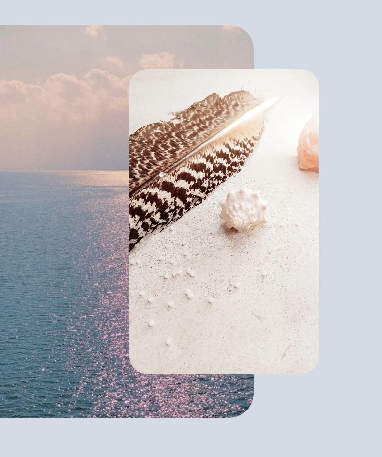 The School of Intuitive Homeopathy