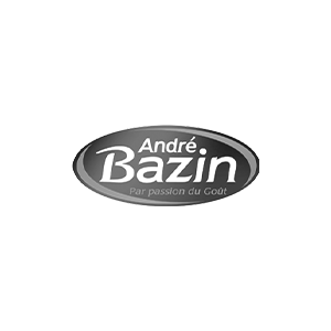 andré bazin