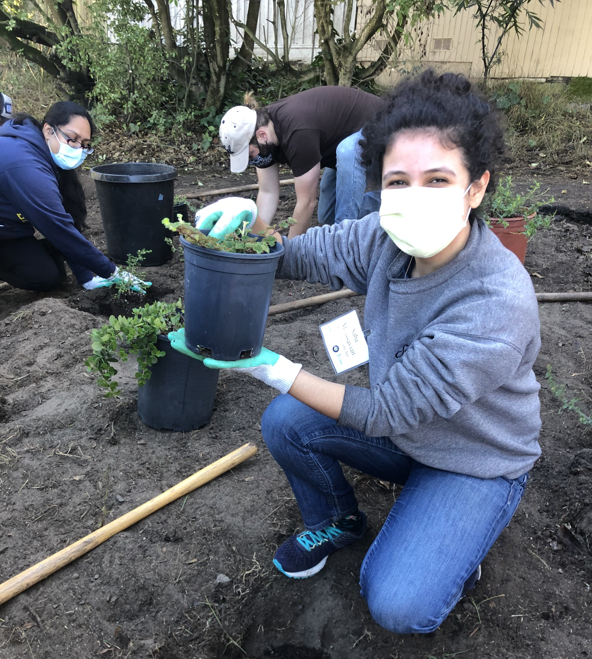 Saba planting at MtLakePark.png